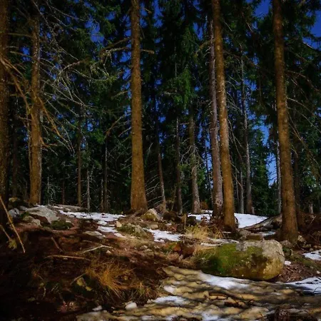 Lusso Holiday Lux * Pamporovo